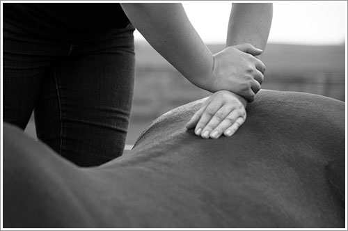 Align Chiropractic & Acupuncture in Fairmont, MN